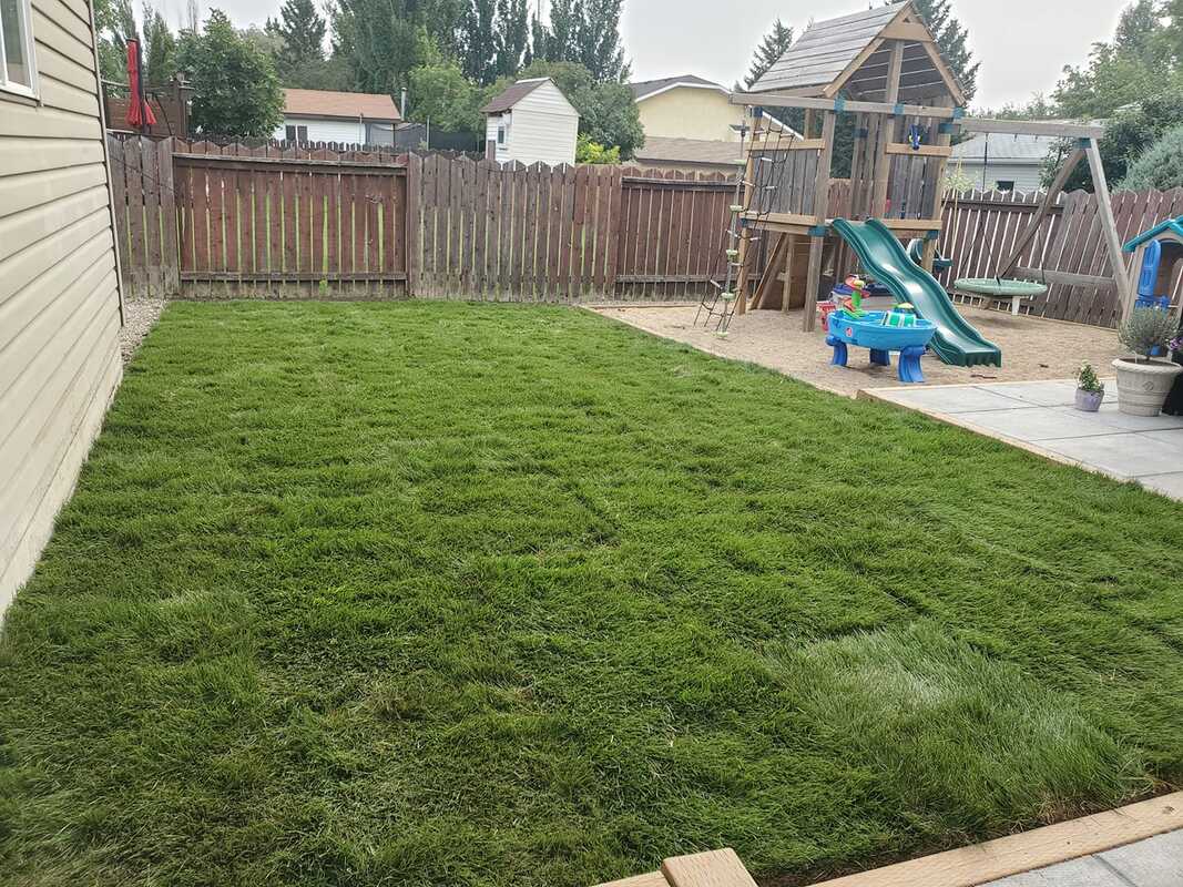 Landscaping